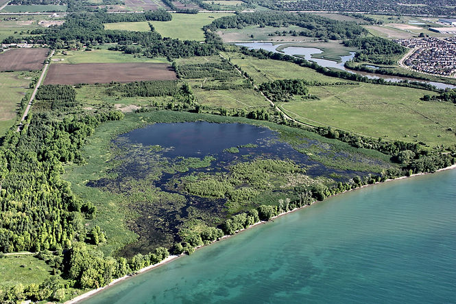Lynde Shores | CLOCA | Central Lake Ontario Conservation Authority