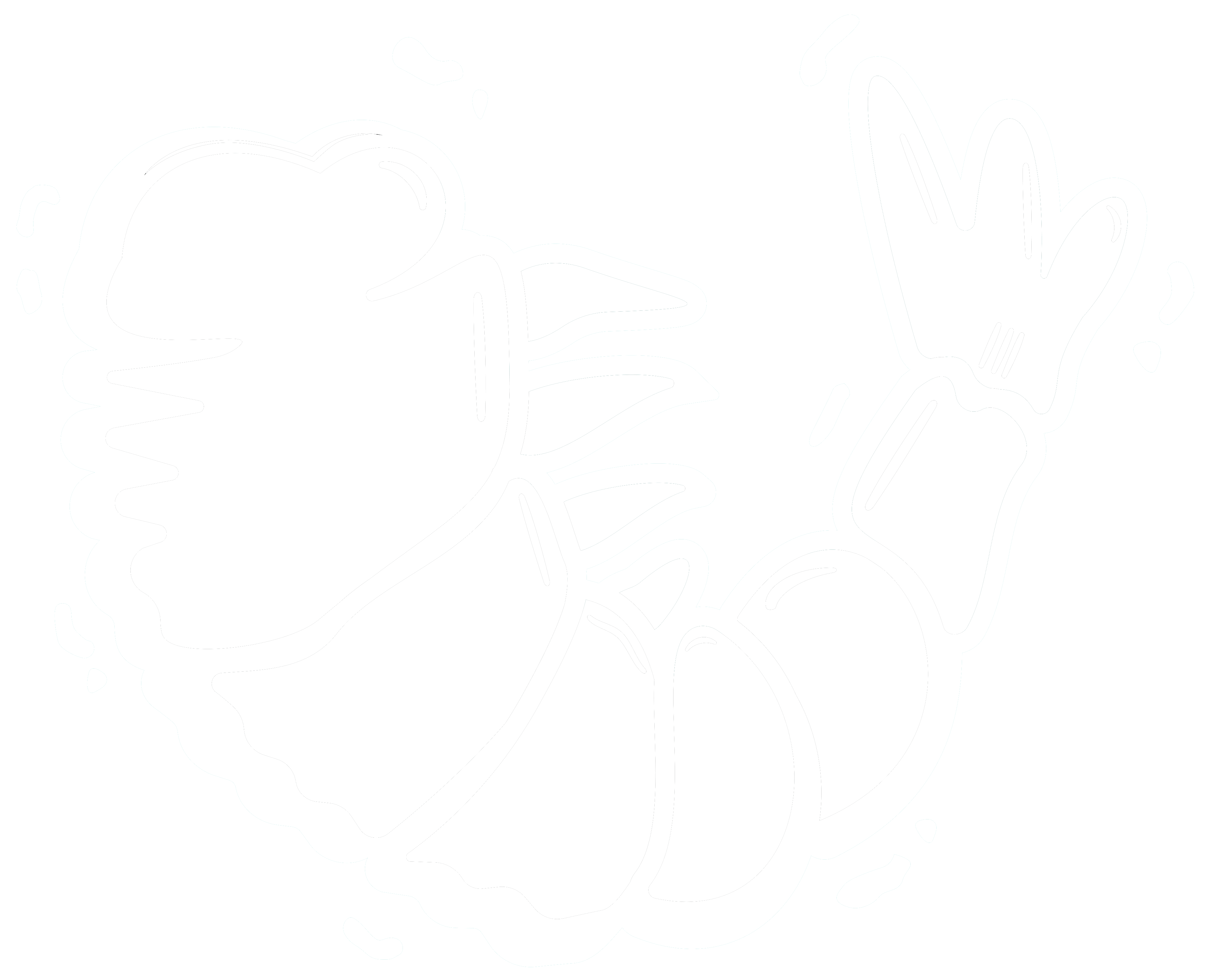 shrimp-outline.gif