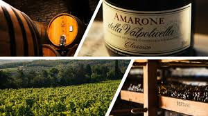 Winetasting BERTANI Amarone & Valpolicella 06/11 @ Slow down Suzy 