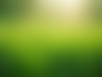Organic Solutions for Grub Control: Eco-Friendly Pest Solutions for Your Lawn
