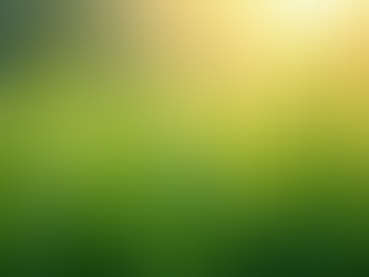 Enhance Your Lawn with Organic Lawn Maintenance