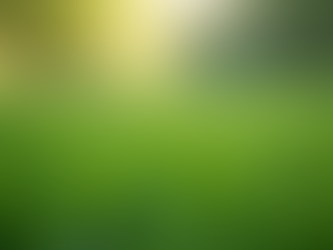 Embrace Holistic Lawn Care Tips for a Healthier Yard