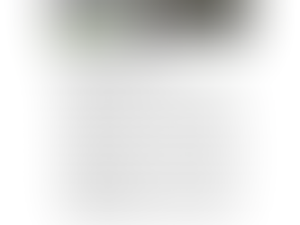 How to Care for Lavender in Winter