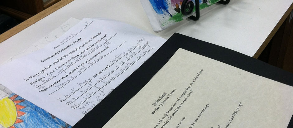 Differentiating Products to Provide Access and Choice