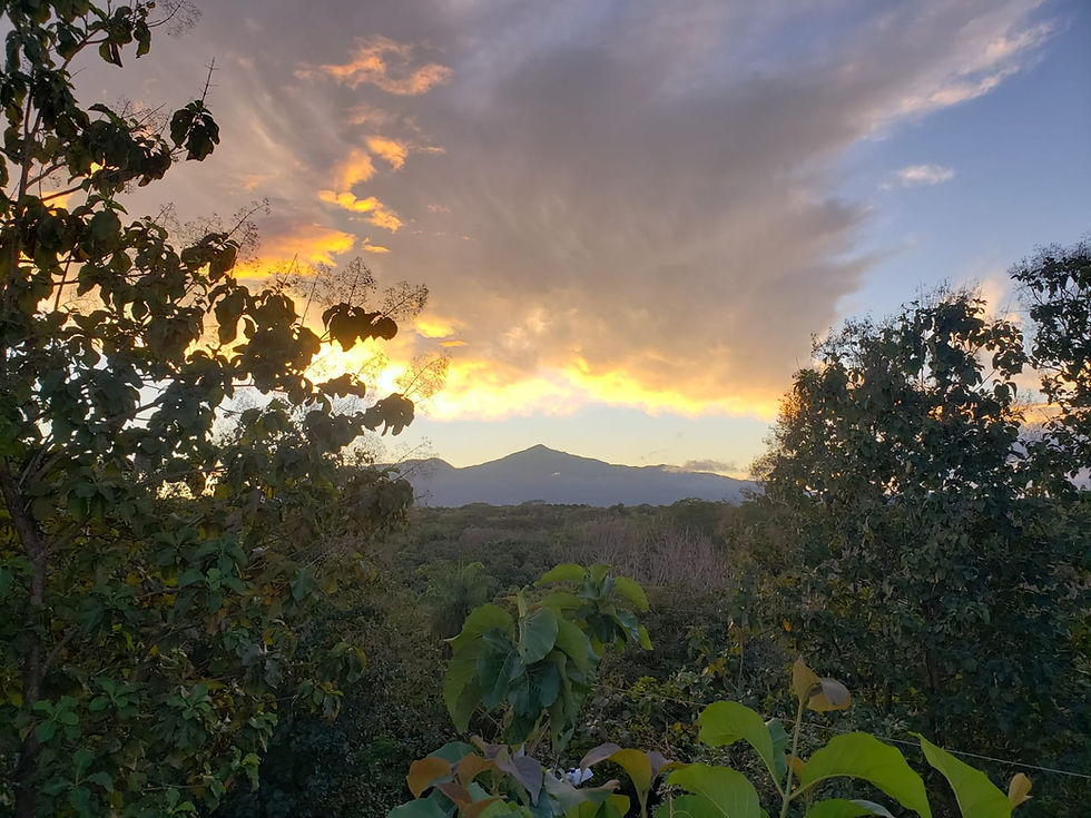 Thumbnail: 5 Bed 3 Bath Jungle Home just Outside San Jose