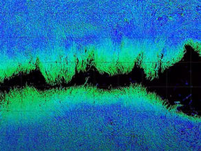“Wound Healing in Epithelial Cells, 96 hours time-lapse”