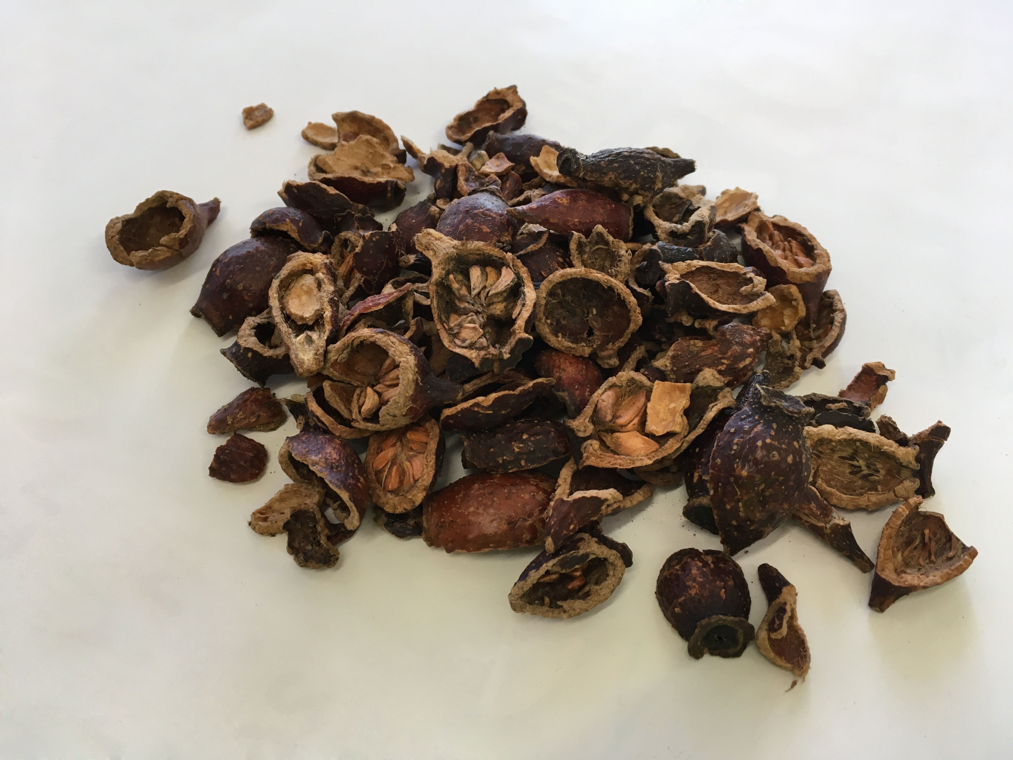 Cherokee Rose Fruit - (金樱子 - Jin Ying Zi)