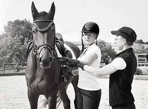 Reitkurs, Trainingstag, mobiler Reitunterricht, klassische Reitlehre, vielseitig, Ausbildung, Theorie, Praxis, unterricht, unterrichten, Dressur, Springen