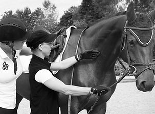 mobiler Reitunterricht, klassische Reitlehre, vielseitig, Ausbildung, Theorie, Praxis, unterricht, unterrichten, Dressur, Springen