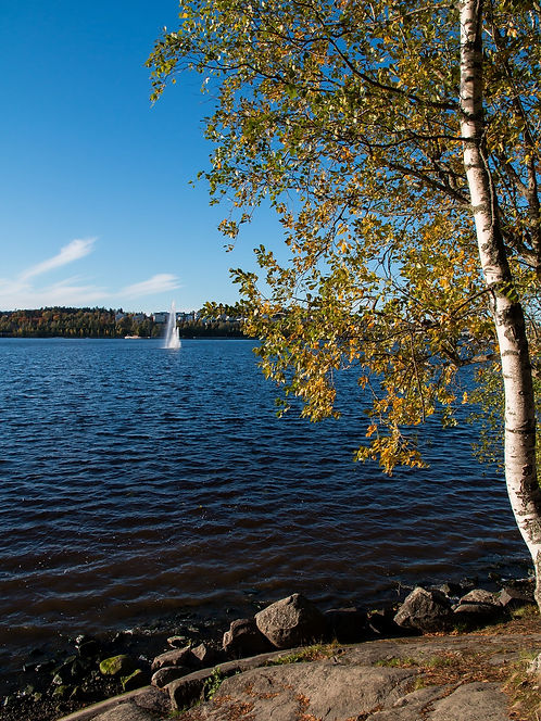 jyvaskyla-ga587a54cc_1920.jpg