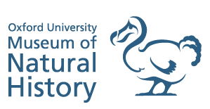 Giants of the Amazon: An Introduction to Giant Otters