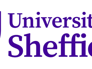 Translation Competitions 2023