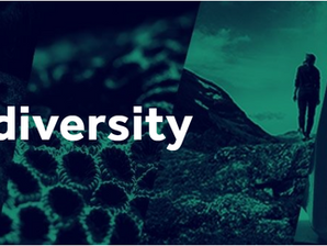 Neurodiversity Lecture Series