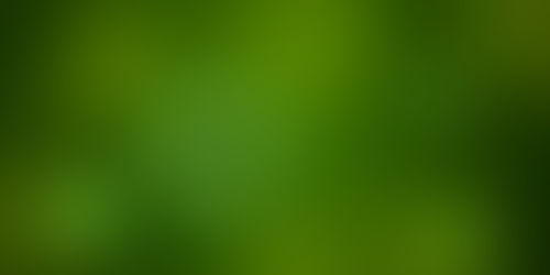 Corona zum dritten ...