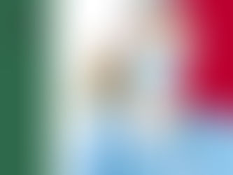 ¿Qué son los Protocolos Nacionales de Atención Médica?