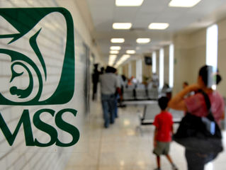 Desafíos en el IMSS: La realidad desde los ojos de los médicos