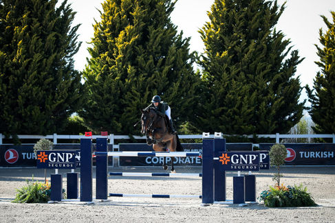 JOTA EFE RHAMSES He has a lot of experience in 1.35/1.40 m classes. Good mind, automatic flying changes. A nice and forgiving horse to step up in the sport.