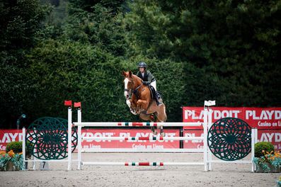 RINA THE SHOWJUMPER TRADER. A mare with future. Suitable for both a professional or an ambitious amateur rider. Plenty of scope, great mind, she has already jumped 1.45 m 2* classes, has some experience in the 1.40 m classes and is ready to keep developing further in the sport. Her proven pedigree and her white splash 1 gene genotype make her interesting not only for the sport but also for breeding.