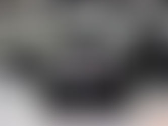 Reviews: Una perspectiva experta sobre la protección automotriz