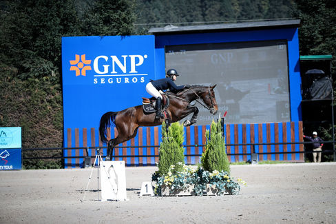 JOTA EFE RHAMSES He has a lot of experience in 1.35/1.40 m classes. Good mind, automatic flying changes. A nice and forgiving horse to step up in the sport.