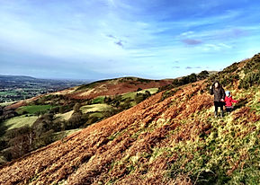 The Old Mill Self Catering Dog Friendly Holiday Cottages Flintshire North Wales Local Walk Chester Conwy Llandudno