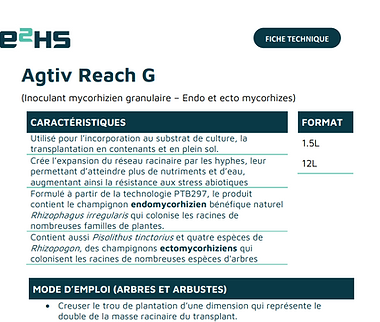 AGTIV-REACH-G.png