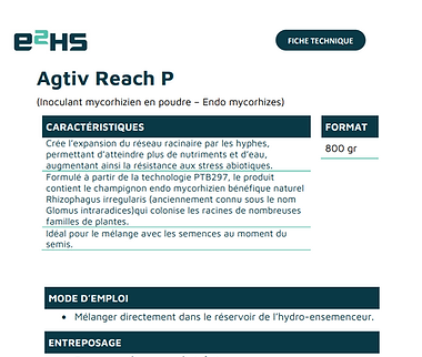AGTIV-REACH-P-1.png