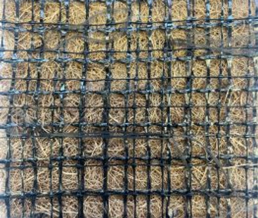 Trinet-coconut-min-262x350.jpg