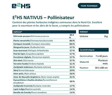E2HS-Nativus-Pollinisateur-fiche-technique-1-pdf.jpg