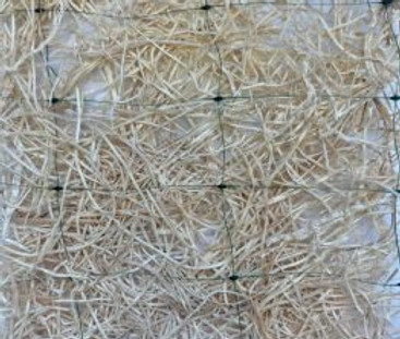 Curlex-I-min-262x350.jpg