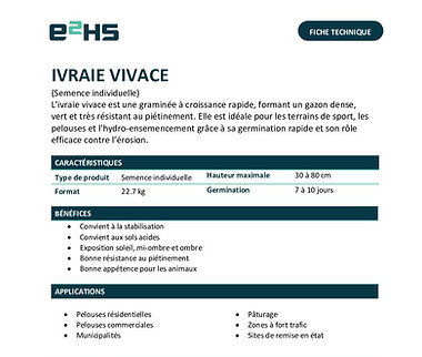 Fiche-Technique-Ivraie-Vivace-pdf.jpg
