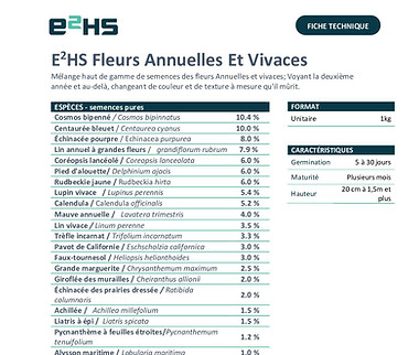 E2HS-FLEURS-ANNUELLES-ET-VIVACES-fiche-technique-2-pdf.jpg
