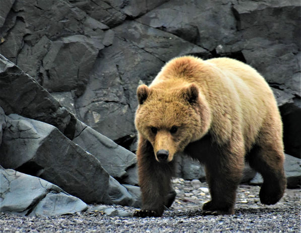 Clam Cove AK_DSC_0778.JPG