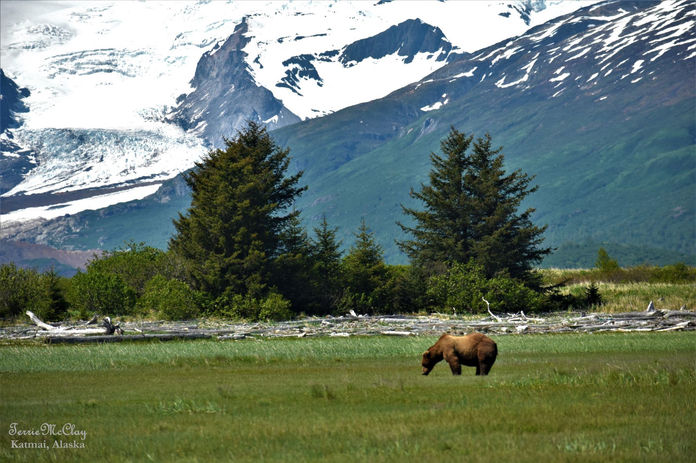 Katmai_DSC_1448.jpg