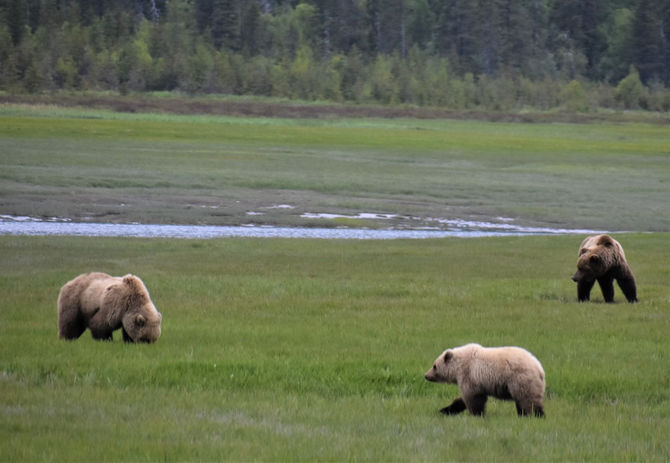 Clam Cove AK_DSC_4408.01.jpg