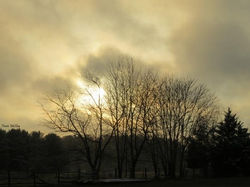 12540977_581263355363076_198607938282597