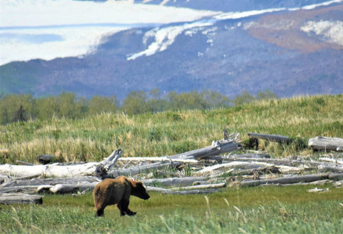 Katmai_DSC_1683.jpg