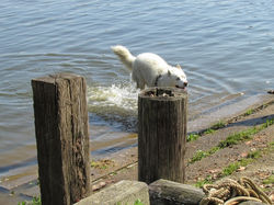 IMG_1441 (650x488).jpg