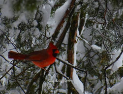 29496032_1037532779736129_62688726668206