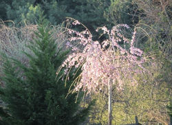 12512727_618420658314012_475516366339774