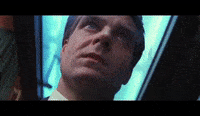 MildAffectionateGermanspitz-max-1mb.gif