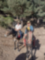 Mule Mountain Adventure