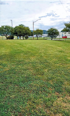 IMG_20230928_150842387~2_edited.jpg