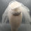 Thumbnail: Roberta - White lace and silk button headpiece with a shoulder length veil