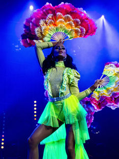 DANCE THE NIGHT AWAY - DISCO TILL DAWN