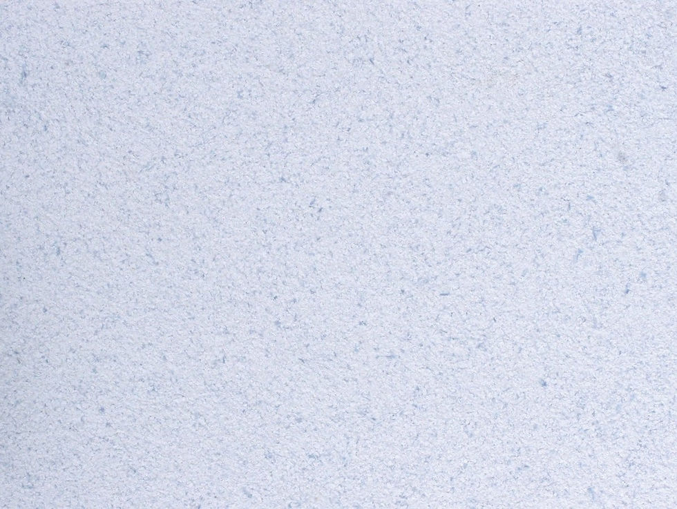 Miniatura: Tipo 23/9