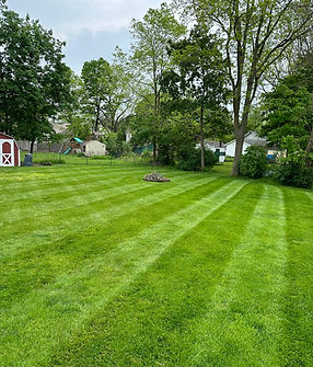 Baxter's Lawn Maintenance, fresh cut lawn with stripes