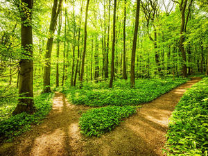 Understanding Change and Seizing Opportunities:  Strategic Growth and Exit Paths amid Uncertain Periods