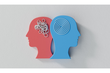 Navigating Business Exits: Independent Advisers vs. Corporate Firms