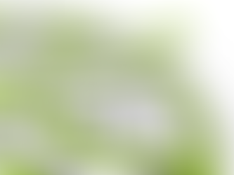 Exploring Exit Strategies: Is Selling the Only Option?